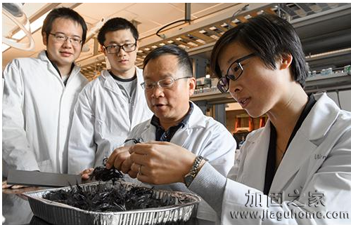 碳纖維加固行業(yè)新發(fā)展，華盛頓大學(xué)實(shí)現(xiàn)碳纖維復(fù)合材料的再循環(huán)！