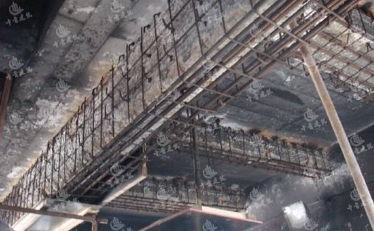 1534995731588901.jpg 0-5.jpg