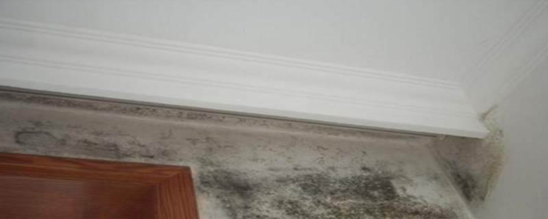 板角裂縫由于板筋位置不當(dāng)引起